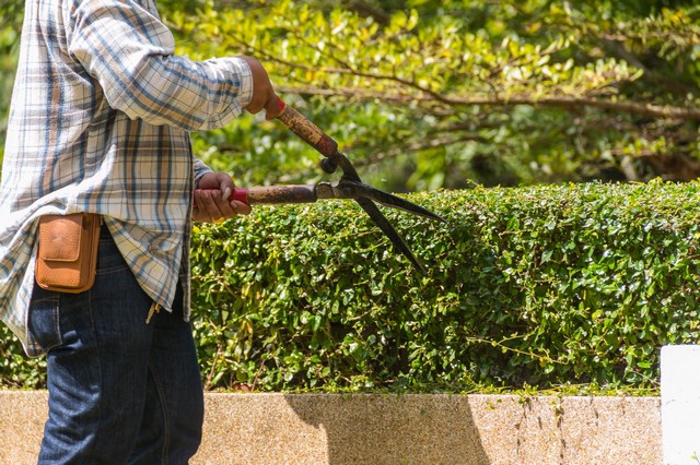 Garden Maintenance Harrow, Harrow on the Hill, HA1